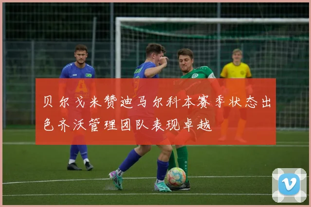 贝尔戈米赞迪马尔科本赛季状态出色齐沃管理团队表现卓越