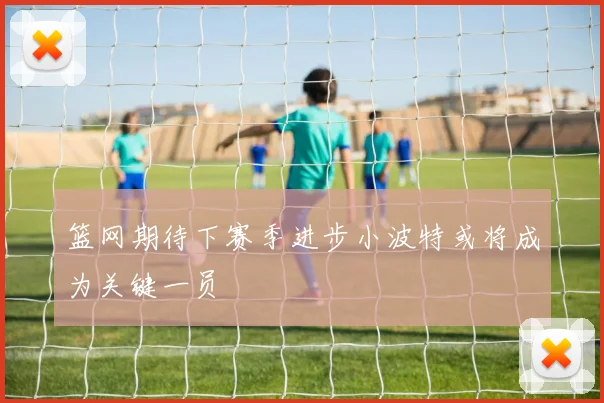 篮网期待下赛季进步小波特或将成为关键一员
