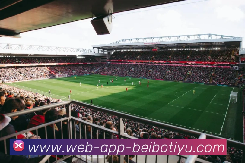 App Interface Preview