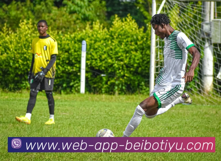 贝博体育APP 封面图